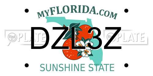 DZL3Z Florida License Plate
