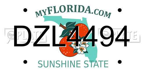 DZL4494 Florida License Plate