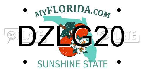 DZLG20 Florida License Plate