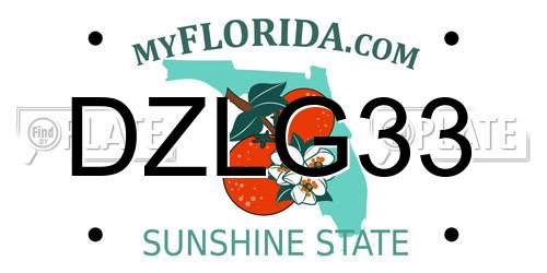 DZLG33 Florida License Plate