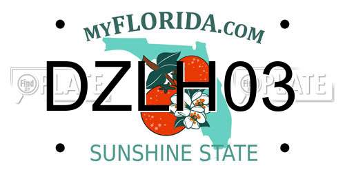 DZLH03 Florida License Plate
