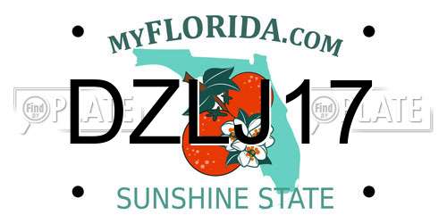 DZLJ17 Florida License Plate