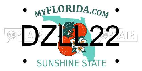DZLL22 Florida License Plate
