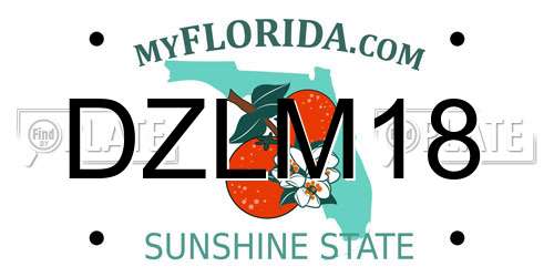 DZLM18 Florida License Plate
