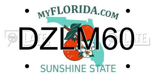 DZLM60 Florida License Plate
