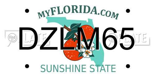 DZLM65 Florida License Plate