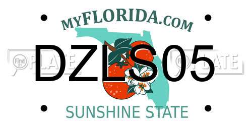 DZLS05 Florida License Plate