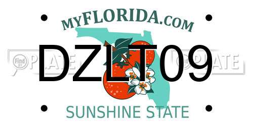 DZLT09 Florida License Plate