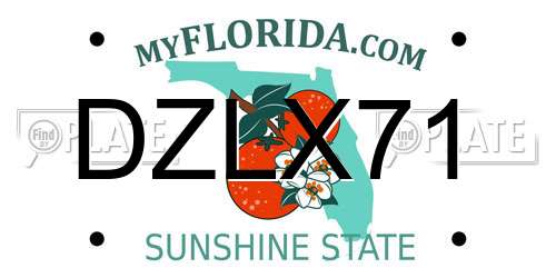 DZLX71 Florida License Plate