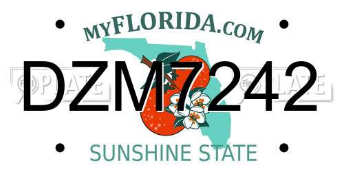 DZM7242 Florida License Plate