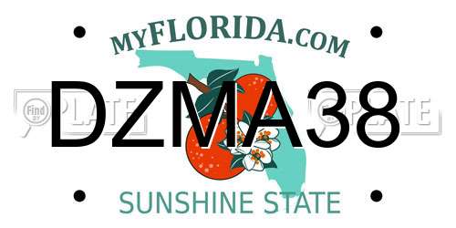 DZMA38 Florida License Plate