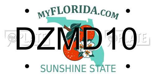 DZMD10 Florida License Plate