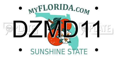 DZMD11 Florida License Plate