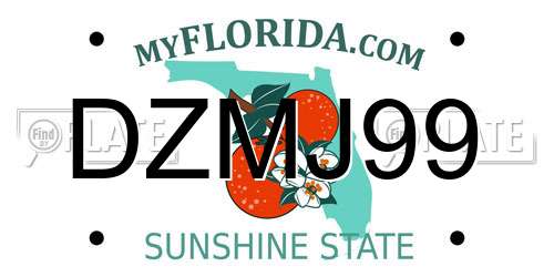 DZMJ99 Florida License Plate