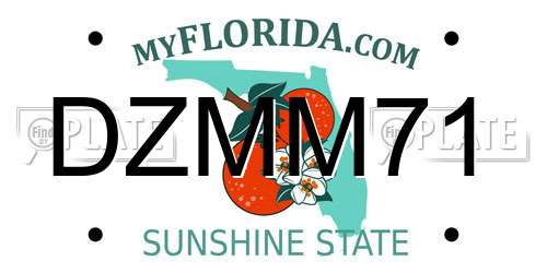DZMM71 Florida License Plate