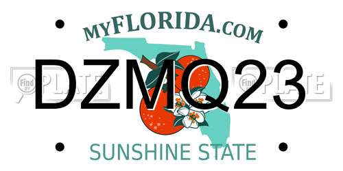 DZMQ23 Florida License Plate