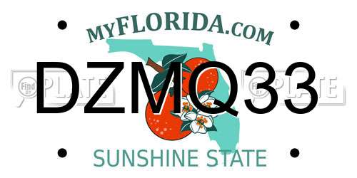 DZMQ33 Florida License Plate