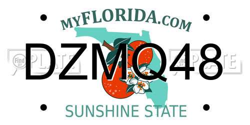DZMQ48 Florida License Plate