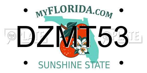 DZMT53 Florida License Plate