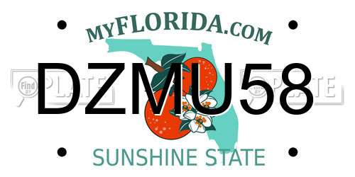 DZMU58 Florida License Plate