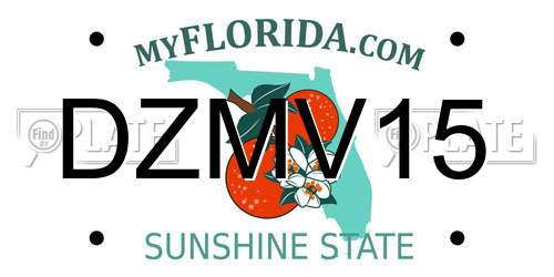 DZMV15 Florida License Plate