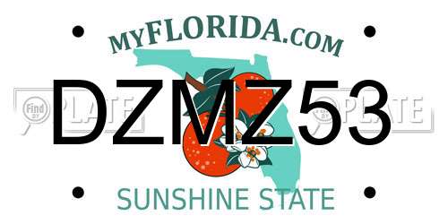 DZMZ53 Florida License Plate