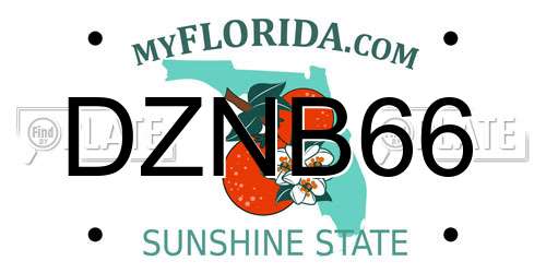 DZNB66 Florida License Plate