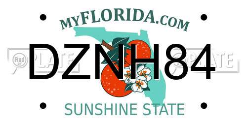 DZNH84 Florida License Plate