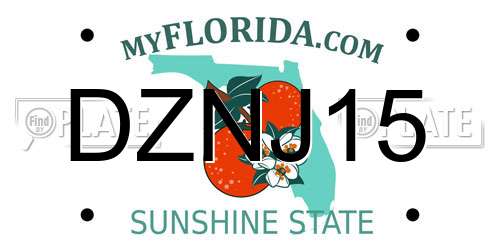 DZNJ15 Florida License Plate