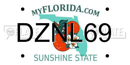 DZNL69 Florida License Plate