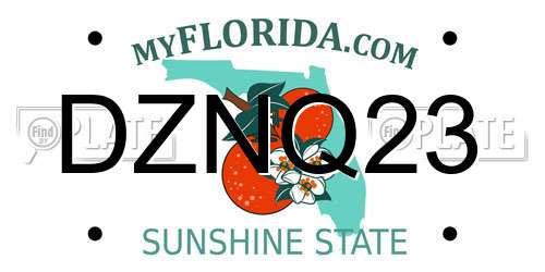 DZNQ23 Florida License Plate