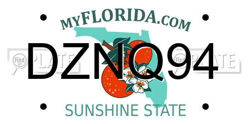 DZNQ94 Florida License Plate
