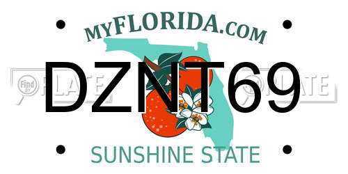 DZNT69 Florida License Plate