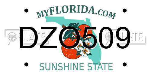 DZO509 Florida License Plate