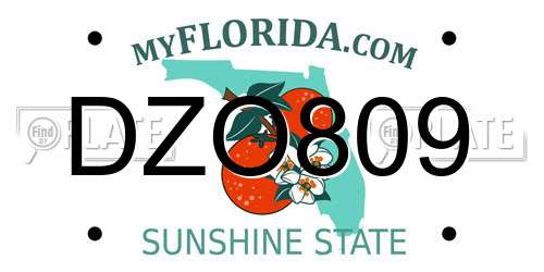 DZO809 Florida License Plate