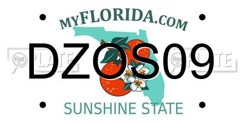 DZOS09 Florida License Plate