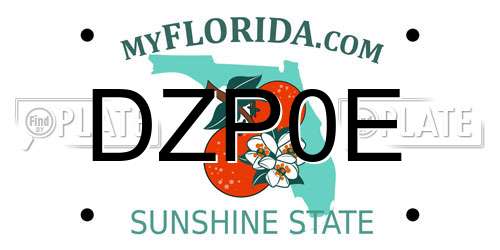 DZP0E Florida License Plate