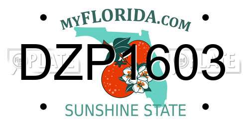 DZP1603 Florida License Plate