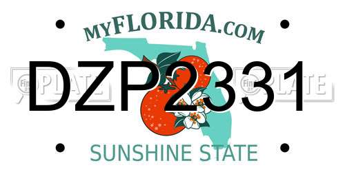 DZP2331 Florida License Plate