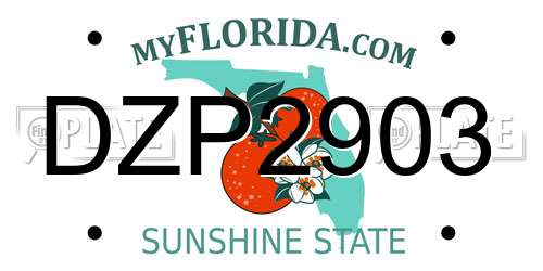 DZP2903 Florida License Plate