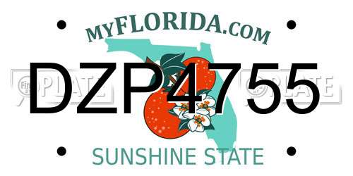 DZP4755 Florida License Plate