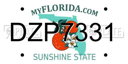 DZP7331 Florida License Plate