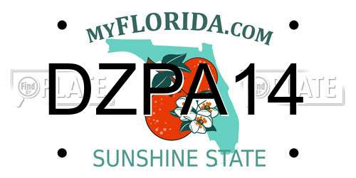 DZPA14 Florida License Plate