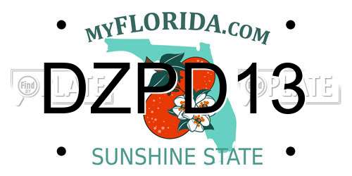 DZPD13 Florida License Plate