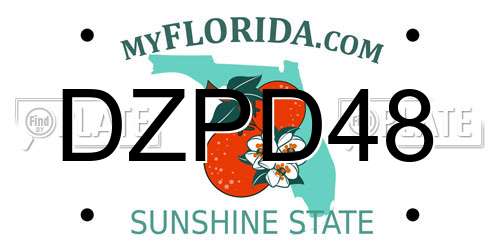 DZPD48 Florida License Plate