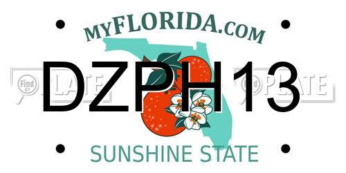 DZPH13 Florida License Plate