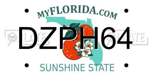 DZPH64 Florida License Plate