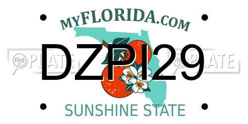 DZPI29 Florida License Plate
