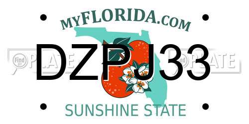 DZPJ33 Florida License Plate