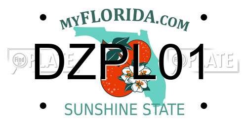 DZPL01 Florida License Plate